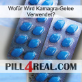Wofür Wird Kamagra-Gelee Verwendetg viagra2